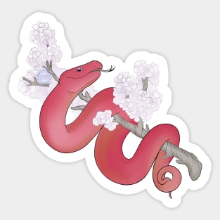 White Sakura Viper: Red Sticker